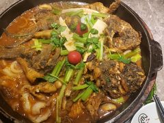 -老板恋上鱼(恒隆广场店)