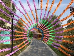 -祥源·阜阳生态乐园