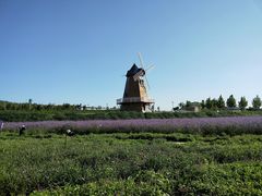 -君乐宝优致牧场