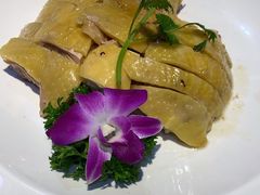 -新高记·粤菜·湛江鸡(南头古城店)