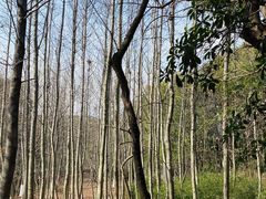 -白马涧龙池景区