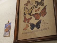 -The Good Place好地方·Brunch·coffee(国贸店)