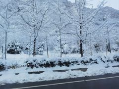 -峨眉山风景名胜区