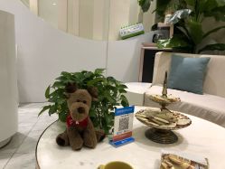 -健身堂科技美肌SPA
