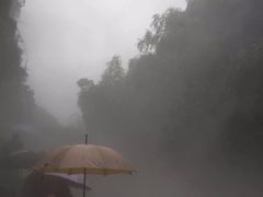 -川西竹海景区