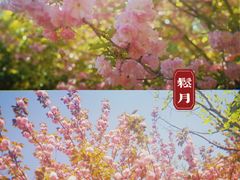 -江南大学(蠡湖校区)