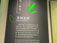 -中国茶叶博物馆(双峰馆区)