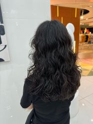 -东方麒麟·潘多拉SALON