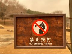 -沈阳森林动物园