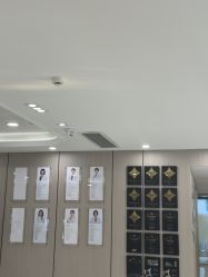 -智美品质医美