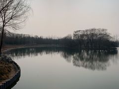 -大兴滨河森林公园