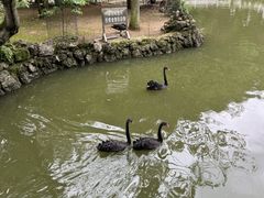 -黔灵山公园