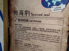 -大连圣亚海洋世界