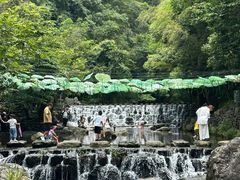 -石台牯牛降景区