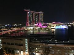 -新加坡文华东方酒店