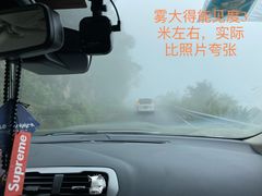 -武陵山森林公园