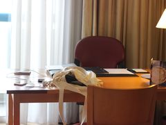 -新加坡瑞士史丹福酒店