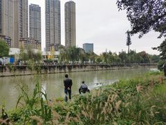 -成都市活水公园