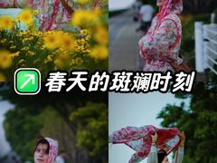 -贡湖湾湿地公园