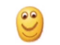 -将军关探险漂流