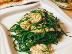 -敦煌达记酱驴肉黄面馆