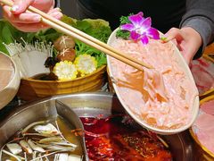 -渝味晓宇火锅(合川路店)