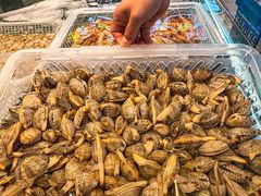-阿胖龙虾小海鲜(宁国南路总店)