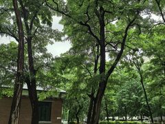 -东北大学(南湖校区)