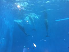 -华夏文旅西安度假区