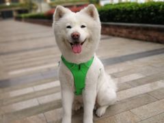 -鱼非鱼(徐家汇店)