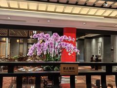 -龙悦湾酒家·八阵鱼生·渔人码头店
