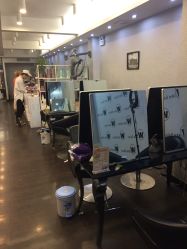 -维卡 Salon