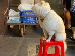 -唐人街(耀华力路)