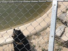 -石家庄市动物园