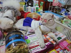 -吴山路夜市