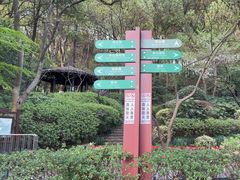 -杭州半山国家森林公园