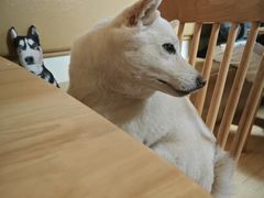 -柴の食堂·日式家庭料理·熊之肆(大学路店)