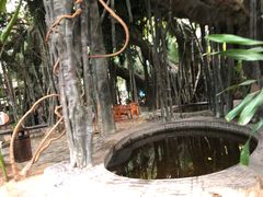 -龙达温泉生态城