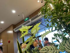 -霸王茶姬(广州白云悦和方店)