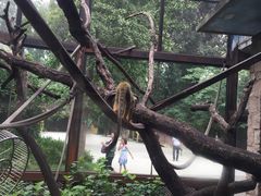 -辛玛王国游乐园