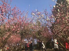-天鹅湖体育公园