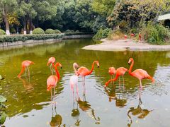 -常州淹城野生动物世界