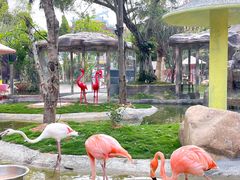 -灵玲国际马戏城