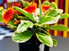 -LUNEURS月乐诗·法式冰淇淋(北外滩来福士广场店)
