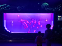 -多彩贵州城极地海洋世界