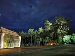 -清迈夜间动物园