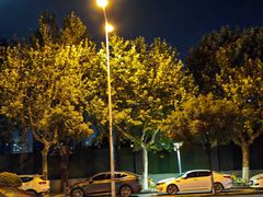 -西安汉城湖景区