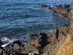 -龙头岩(Dragon Head Rock)