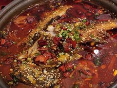 -眉州东坡(团结湖店)
