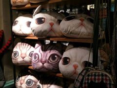 -猫咪博物馆(顶澳仔猫街店)